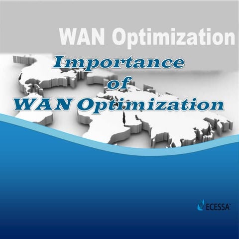 Importance of WAN Optimization