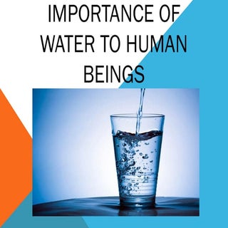 Importance of water to human beings