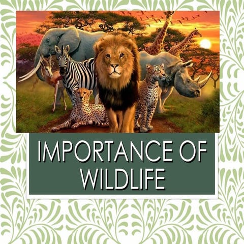 IMPORTANCE OF WILDLIFE.ppt maintain the ecosystem