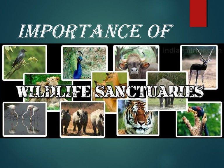 Importance of wild life santuaries by gopal krishna biswas