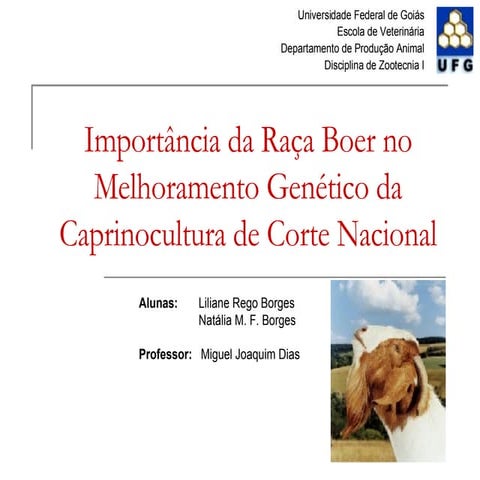 Importancia da raca Boer no Melhoramento Genetico da Caprinocultura de Corte Nacional