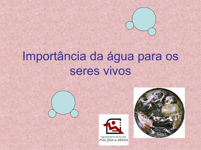 Importancia da agua_para_os_seres_v...