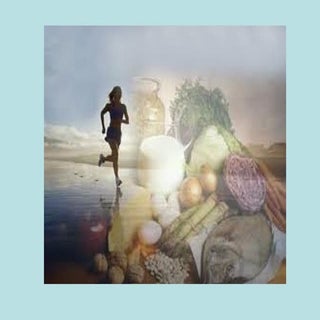 Importancia de la alimentación