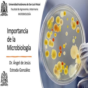Importancia de la microbiologia microorganismos