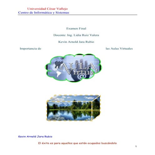 Importanciadelasaulasvirtuales