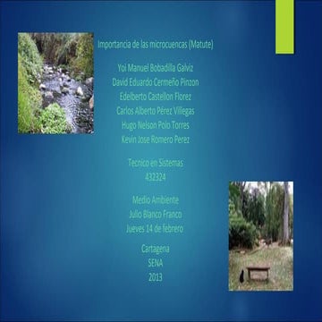 Importancia de las microcuencas (matute)