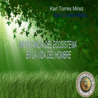 Importancia Del Ecosistema En La Vi...