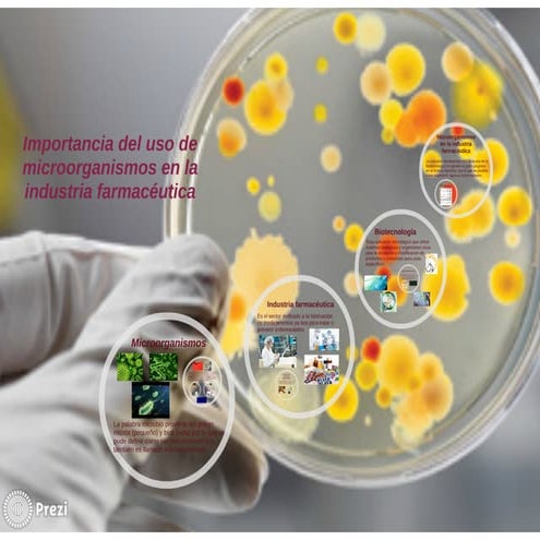 Importancia del uso de microorganismos en la industria farmacéutica | PDF