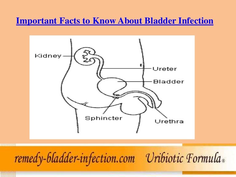 Important facts about bladder infection