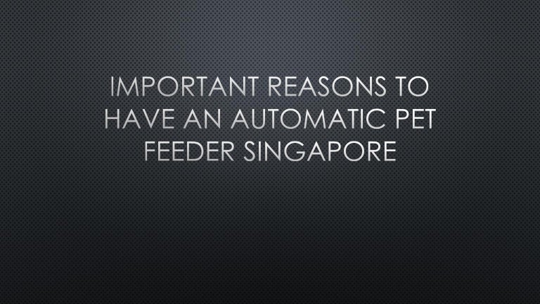 Important Reasons To Have An Automatic Pet Feeder Singapore