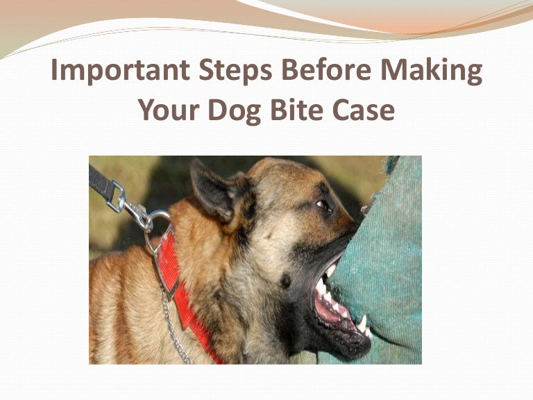 Important Steps Before Making Your Dog Bite Case