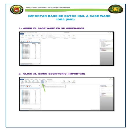 Manual de usuario - Idea Caseware | DOCX