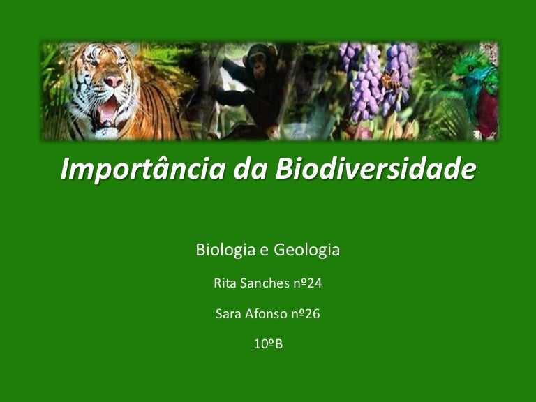 Importância Da Biodiversidade Para A Saúde Corporal
