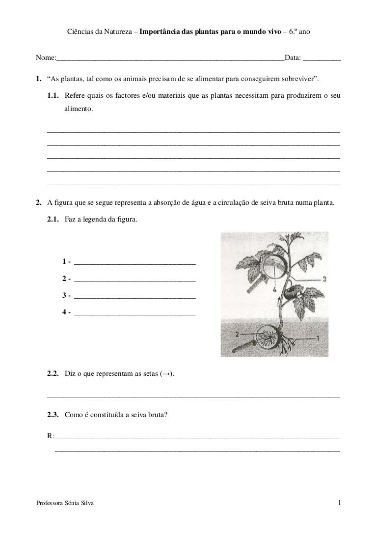 Roteiros para solteiros no brasil Roteiros para solteiros no brasil