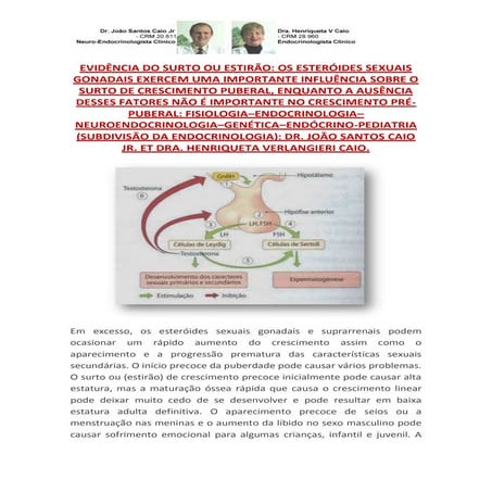 Importância Esteróides Sexuais no Crescer Fase (Puberal Juvenil Pré Adolescen...