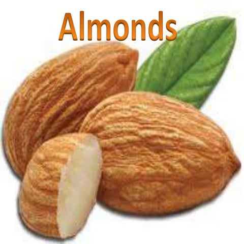 Import of Almonds (EXIM) export-Import