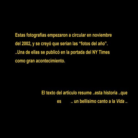 Impresionante No Al Aborto