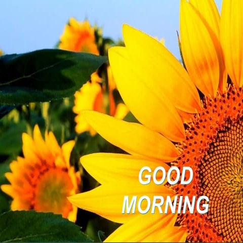 impression techniques in complete denture