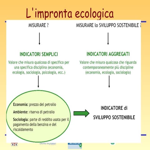 Ldb_77 Agricoltura Naturale Peloso_05