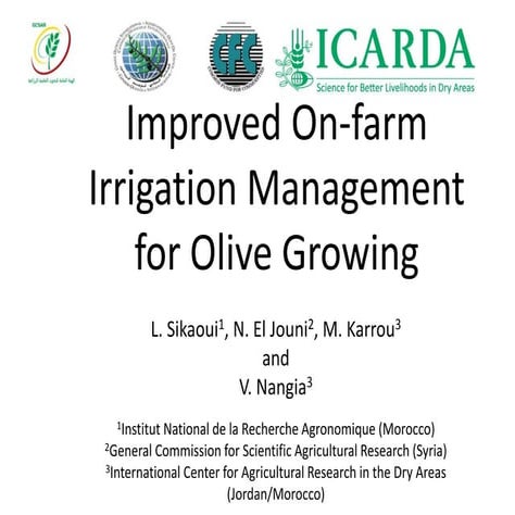 Improved On-farm Irrigation Management for Olive Growing