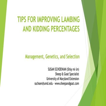 Tips for Improving Lambing/Kidding Percentage