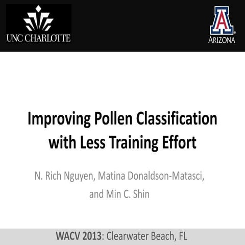 Improving pollen classification with less training effort