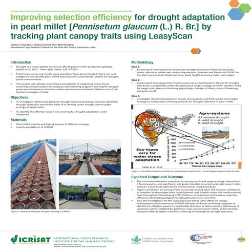 Improving selection efficiency for drought adaptation in pearl millet [Pennis...