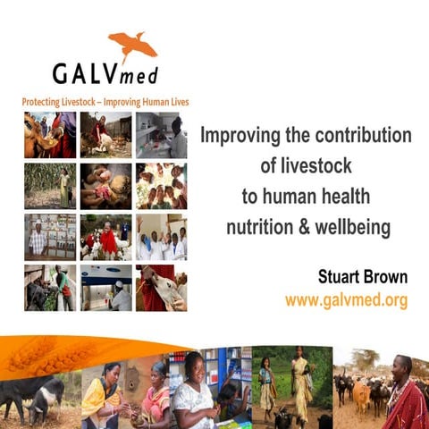 Improving the contribution of livestock to human health and nutrition and wel...