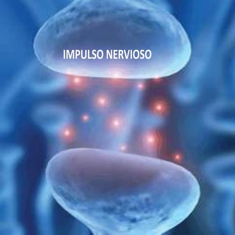 Impulso nervioso 2013 clase 2