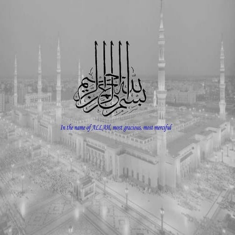 Infant Mortality Rate by Sumayya Naseem 5th July, 2013