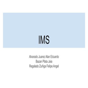 Internet IMS.pdf