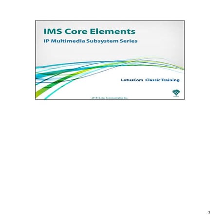 IMS Core Elements
