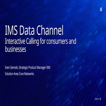 Description of IMS interactive calls, EU and Network architecture