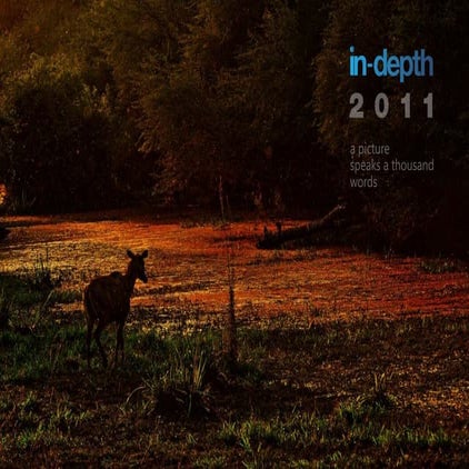 2011 Calendar by In-depth - A picture speaks a thousand words