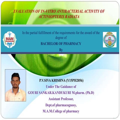 In vitro antibacterial activity of actiniopteris radiata