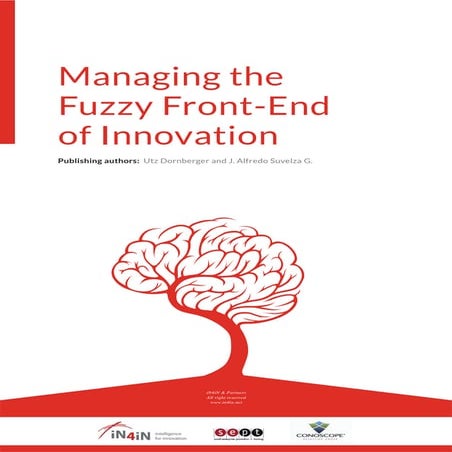 Fuzzy front end innovation