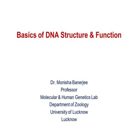 Basis of DNA 