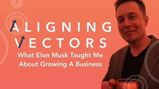 Aligning Vectors: What Elon Musk Taught Me About Growing A Business