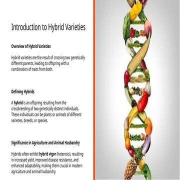 inbound3337018516495646848.pptx.........