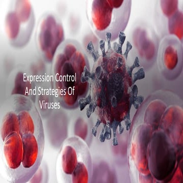 Expression Control and Strategies of Viruses.pdf