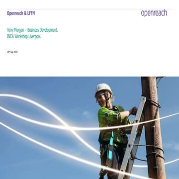 3667 Fibre Internal | PDF