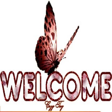 INC CONSUMER PROTECTION ACT presentation