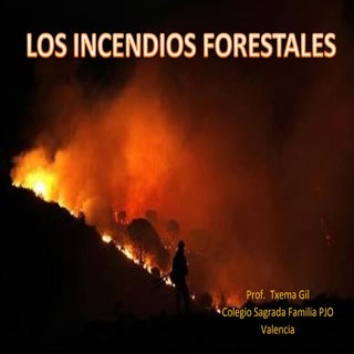 Incendios forestales