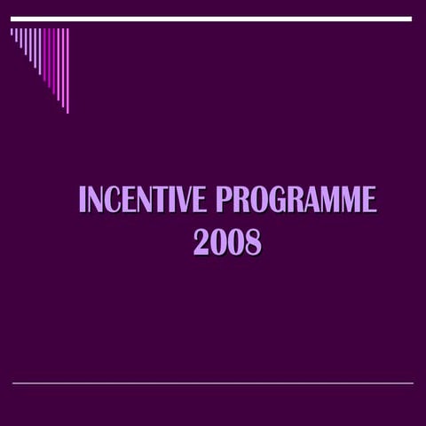 Incentive Programme 2008 Pre Departure Briefing