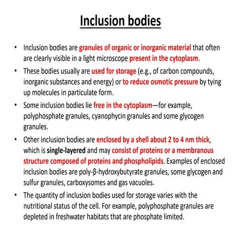 Inclusion bodies a brief overview in english.pdf