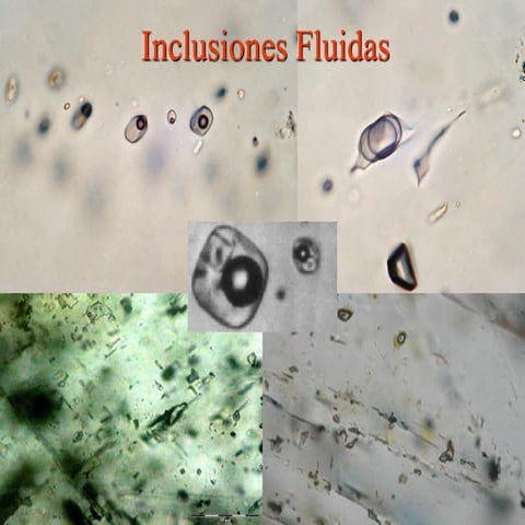 Inclusiones fluidas ppt