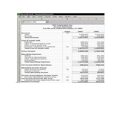 Income statement | DOC