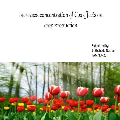 Increased co2 effect on crop production tam 2013-25