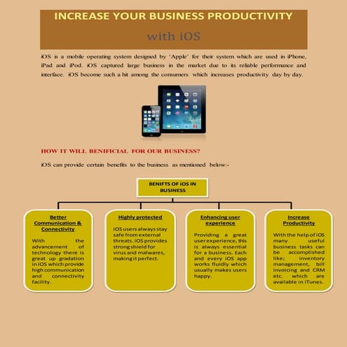 Increase Your Business Productivity With iOS