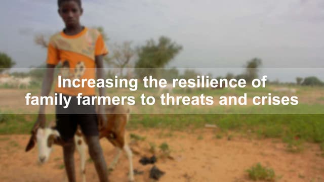 Increasing the resilience of family farmers to threats and crises